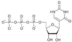 Figure imgf000223_0003