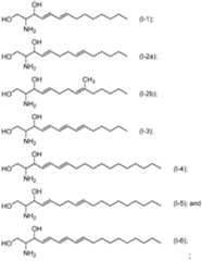 Figure imgf000080_0001