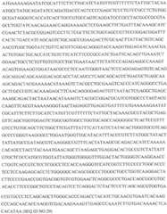 Figure GDA0002870045410000891