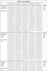 Figure imgf000056_0001