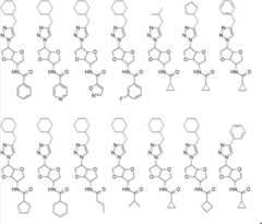 Figure FDA00003363594700031