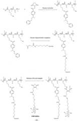 Figure imgf000026_0001