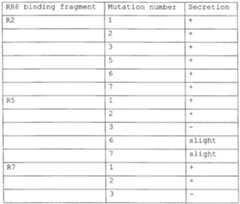 Figure imgf000044_0001
