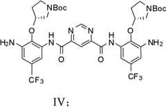 Figure BDA0000070030420000211