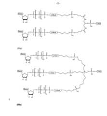 Figure imgf000007_0001