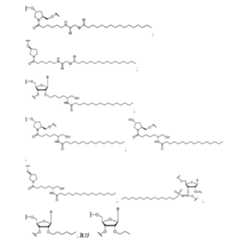 Figure 2023500681000165