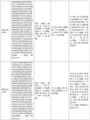 Figure BDA0002939076220001931