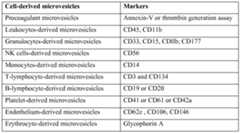 Figure imgf000010_0001