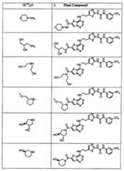 Figure 112007011503269-PCT00259