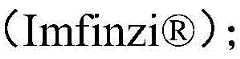 Figure BDA0003731387960000505