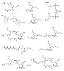 Figure 2023012548000014