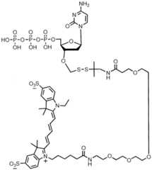 Figure imgf000252_0001