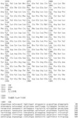 Figure IDA0002536600790001131