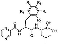 Figure imgf000036_0002