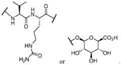 Figure imgf000039_0001