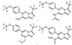 Figure imgf000052_0001