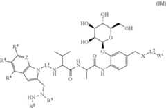 Figure US12187810-20250107-C00016