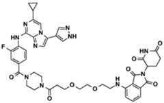 Figure BDA0002964098100001741