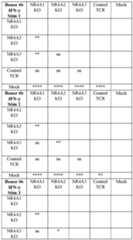 Figure imgf000175_0001