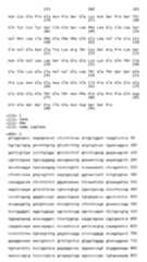 Figure imgb0024