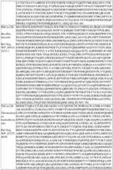 Figure imgf000163_0001