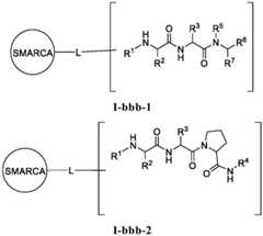 Figure BDA0003783300830001242