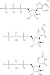 Figure US09603863-20170328-C00186