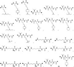 Figure PCTCN2022073822-appb-000051