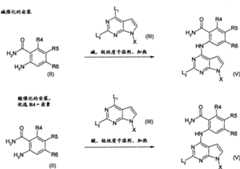 Figure GPA00001084614800511