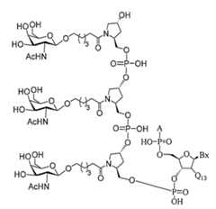 Figure 2023012548000358