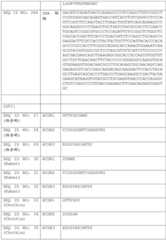 Figure BDA0002591526010000751