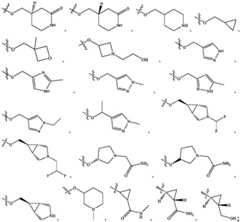 Figure FDA0003181678060000061