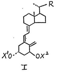 Figure imgf000005_0001