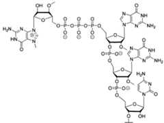 Figure imgf000098_0002