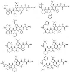 Figure imgf000305_0002