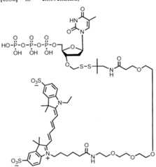 Figure imgf000252_0002
