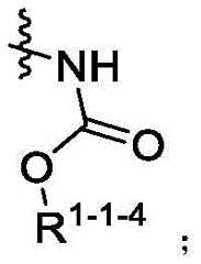 Figure FDA0003361869430000013