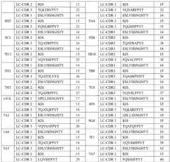 Figure BDA0003170712960000101