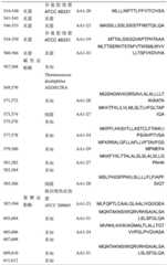 Figure BDA0002383733470000831