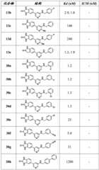 Figure BDA0003236274780001431