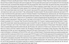 Figure PCTCN2022073808-appb-000141