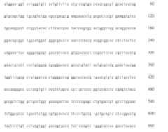 Figure 108123466-A0305-02-0461-361