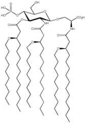 Figure imgf000225_0001