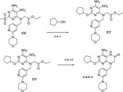 Figure BDA0000075082050001691