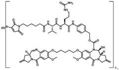 Figure FDA0003021893850000111