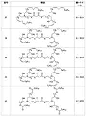 Figure 0007488193000069