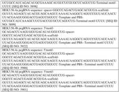 Figure imgf000804_0001