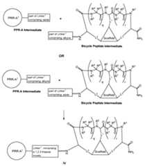 Figure imgf000126_0001