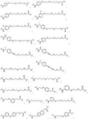 Figure BDA0003027048450002031