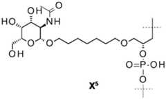 Figure FDA0002550837370000074